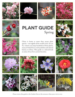 Plant Guide Spring