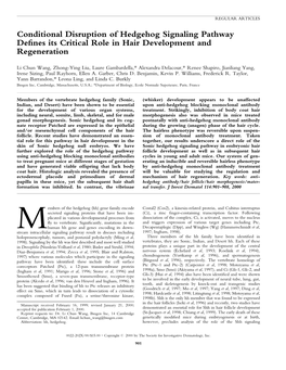 Conditional Disruption of Hedgehog Signaling Pathway Defines Its