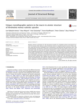 Unique Crystallographic Pattern in the Macro to Atomic Structure Of