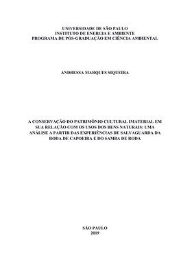 Universidade De São Paulo Instituto De Energia E Ambiente Programa De Pós-Graduação Em Ciência Ambiental