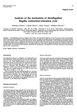 Analysis of the Mechanism of Dinoflagellate Flagella Contraction-Relaxation Cycle