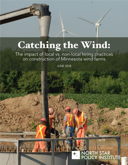 Catching the Wind: the Impact of Local Vs