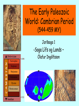 The Early Paleozoic World: Cambrian Period (544-459 MY)