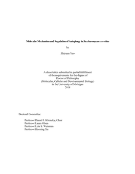 Molecular Mechanism and Regulation of Autophagy in Saccharomyces Cerevisiae