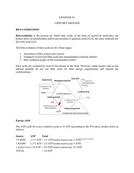 CHAPTER-IV LIPID METABOLISM BETA-OXIDATION Beta-Oxidation Is