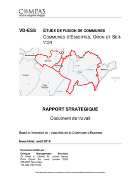 RAPPORT STRATEGIQUE Document De Travail