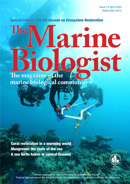 Marine Biologist Magazine, in Which We Implementation