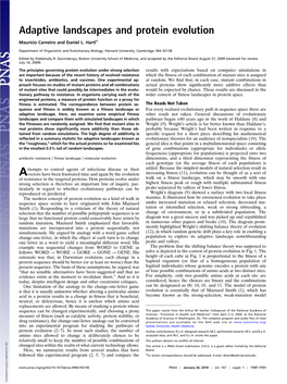 Adaptive Landscapes and Protein Evolution