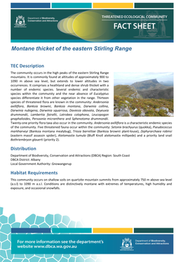 Montane Thicket of the Eastern Stirling Range