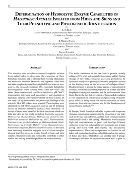 Determination of Hydrolytic Enzyme Capabilities of Halophilic Archaea Isolated from Hides and Skins and Their Phenotypic and Phylogenetic Identification by S