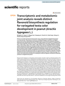 Transcriptomic and Metabolomic Joint Analysis Reveals Distinct Flavonoid Biosynthesis Regulation for Variegated Testa Color Deve