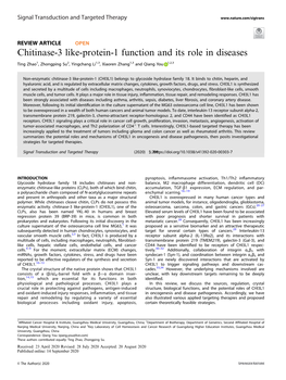 Chitinase-3 Like-Protein-1 Function and Its Role in Diseases