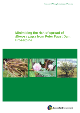 Minimising the Risk of Spread of Mimosa Pigra from Peter Faust Dam