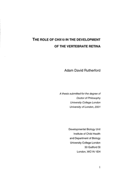 The Role of Chx10 in the Development of the Vertebrate Retina