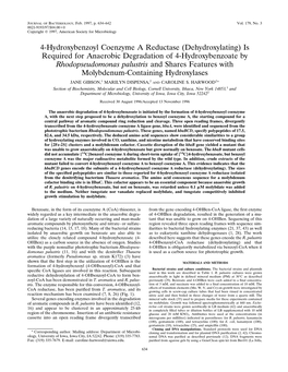 Is Required for Anaerobic Degradation of 4-Hydroxybenzoate by Rhodopseudomonas Palustris and Shares Features with Molybdenum-Containing Hydroxylases