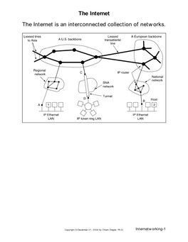 The Internet the Internet Is an Interconnected Collection of Networks