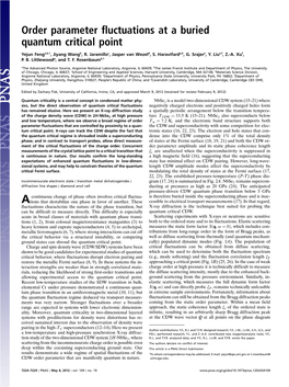 Order Parameter Fluctuations at a Buried Quantum Critical Point