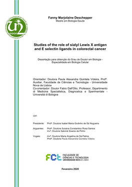 Studies of the Role of Sialyl Lewis X Antigen and E Selectin Ligands in Colorectal Cancer