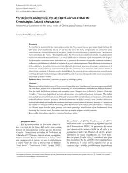 Variaciones Anatómicas En Las Raíces Aéreas Cortas De Oenocarpus Bataua (Arecaceae) Anatomical Variations in the Aerial Roots of Oenocarpus Bataua (Arecaceae)