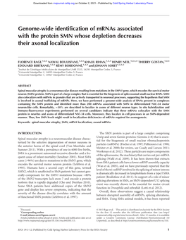 Genome-Wide Identification of Mrnas Associated with the Protein SMN Whose Depletion Decreases Their Axonal Localization