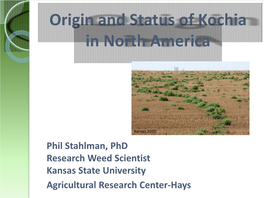 Origin and Status of Kochia in North America