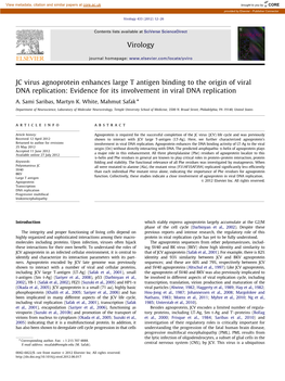 Evidence for Its Involvement in Viral DNA Replication