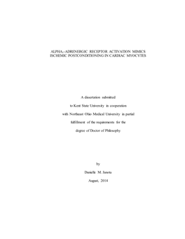 Alpha1-Adrenergic Receptor Activation Mimics Ischemic Postconditioning in Cardiac Myocytes