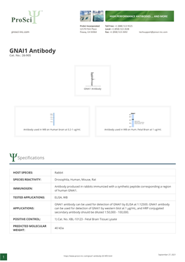 GNAI1 Antibody Cat