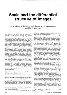 Scale and the Differential Structure of Images