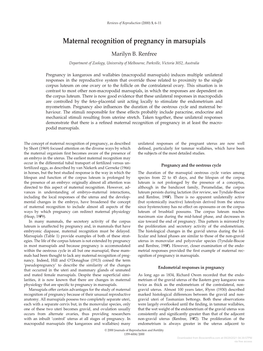 Maternal Recognition of Pregnancy in Marsupials