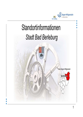 Standortinformationen Stadt Bad Berleburg