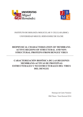 Structural Proteins from Dengue Virus Caracteriz