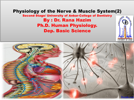 Myelin Sheath Are Called Myelinated Nerve Fibers