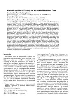 Growth Responses to Flooding and Recovery of Deciduous Trees