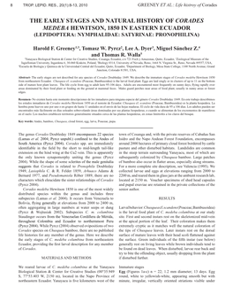The Early Stages and Natural History of Corades Medeba Hewitson, 1850 in Eastern Ecuador (Lepidoptera: Nymphalidae: Satyrinae: Pronophilina)