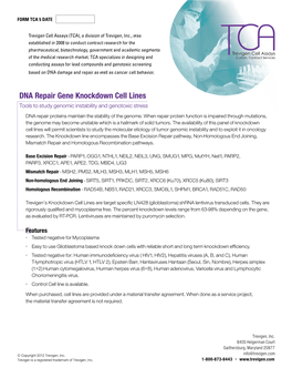 DNA Repair Gene Knockdown Cell Lines Tools to Study Genomic Instability and Genotoxic Stress DNA Repair Proteins Maintain the Stability of the Genome