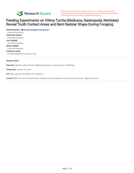 Feeding Experiments on Vittina Turrita (Mollusca, Gastropoda, Neritidae) Reveal Tooth Contact Areas and Bent Radular Shape During Foraging