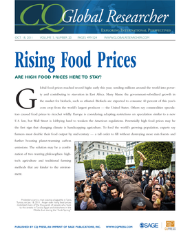 Rising Food Prices ARE HIGH FOOD PRICES HERE to STAY?
