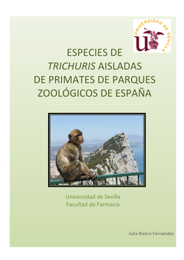 Especies De Trichuris Aisladas De Primates De Parques Zoológicos De España