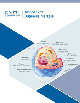Organelle Markers