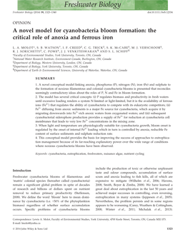 A Novel Model for Cyanobacteria Bloom Formation: the Critical Role of Anoxia and Ferrous Iron