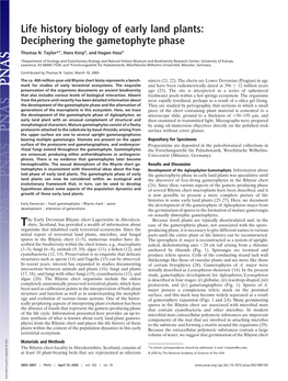 Life History Biology of Early Land Plants: Deciphering the Gametophyte Phase