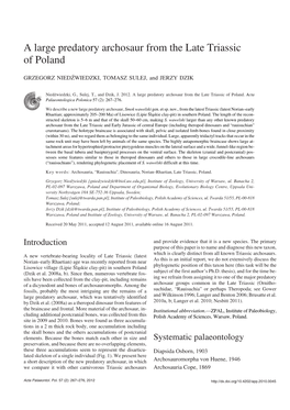 A Large Predatory Archosaur from the Late Triassic of Poland