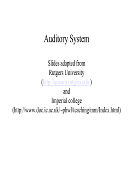 Auditory System