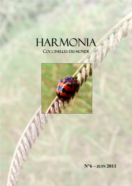 Harmonia Coccinelles Du Monde