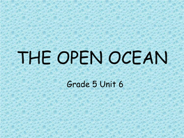 The Open Ocean