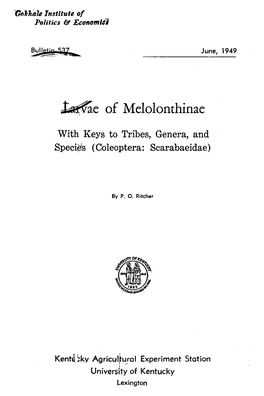 ~E of Melolonthinae