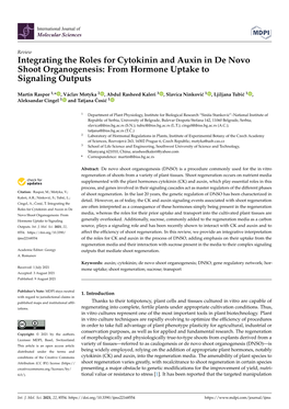 Integrating the Roles for Cytokinin and Auxin in De Novo Shoot Organogenesis: from Hormone Uptake to Signaling Outputs