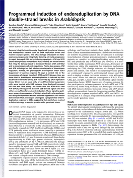 Programmed Induction of Endoreduplication by DNA Double-Strand Breaks in Arabidopsis