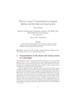 Computations in Emergent Algebras and the Front End Visual System